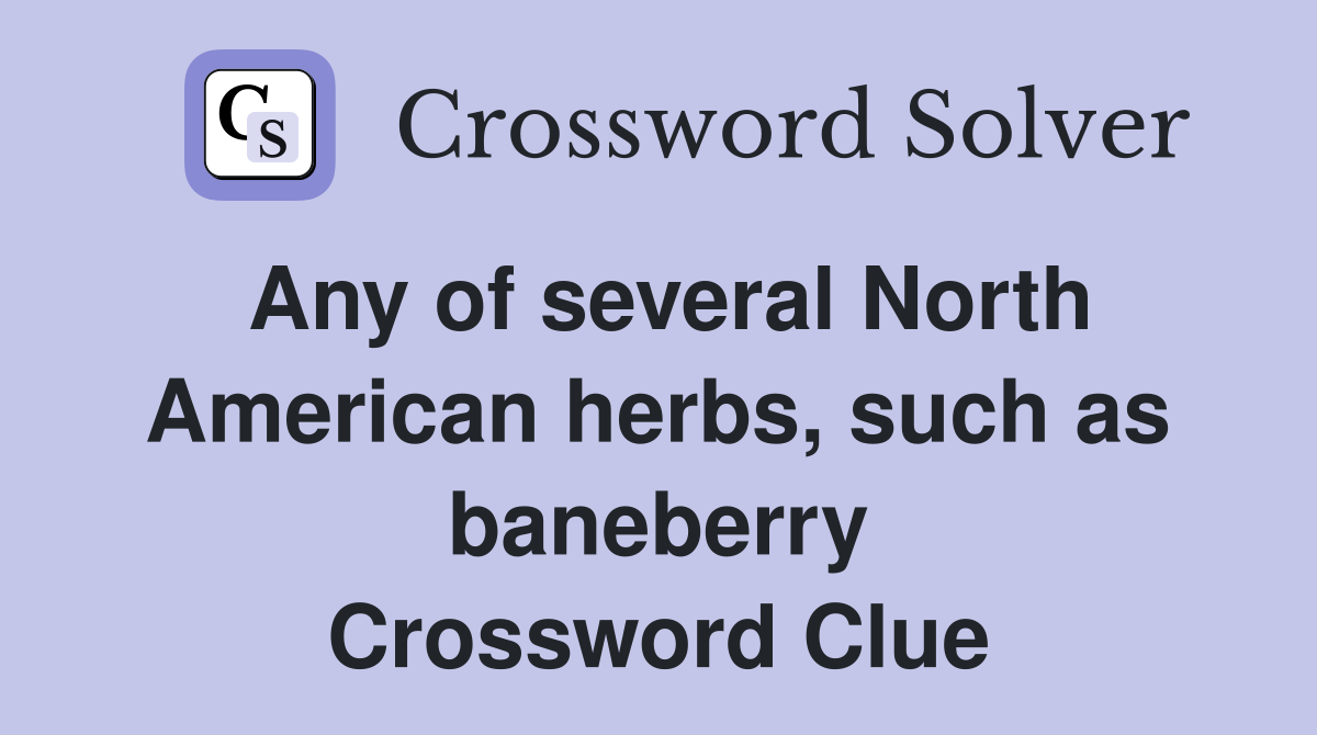 Any of several North American herbs, such as baneberry Crossword Clue